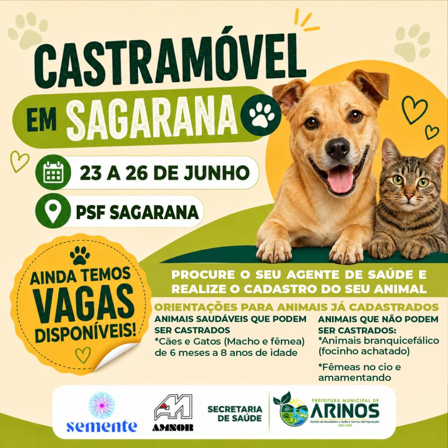 Castramóvel em Sagarana