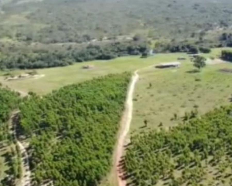 Secretaria Municipal de Agropecuária e Desenvolvimento Rural